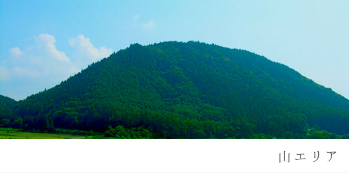 山エリア