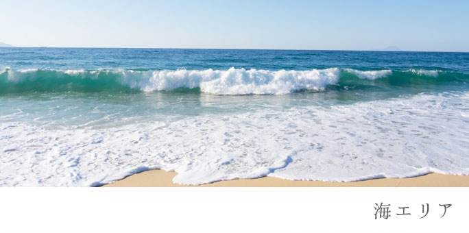 海エリア