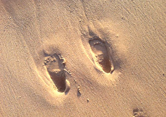 夏休み博物館とは