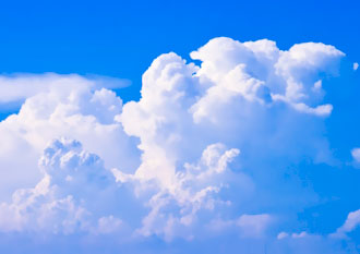 夏休み博物館とは